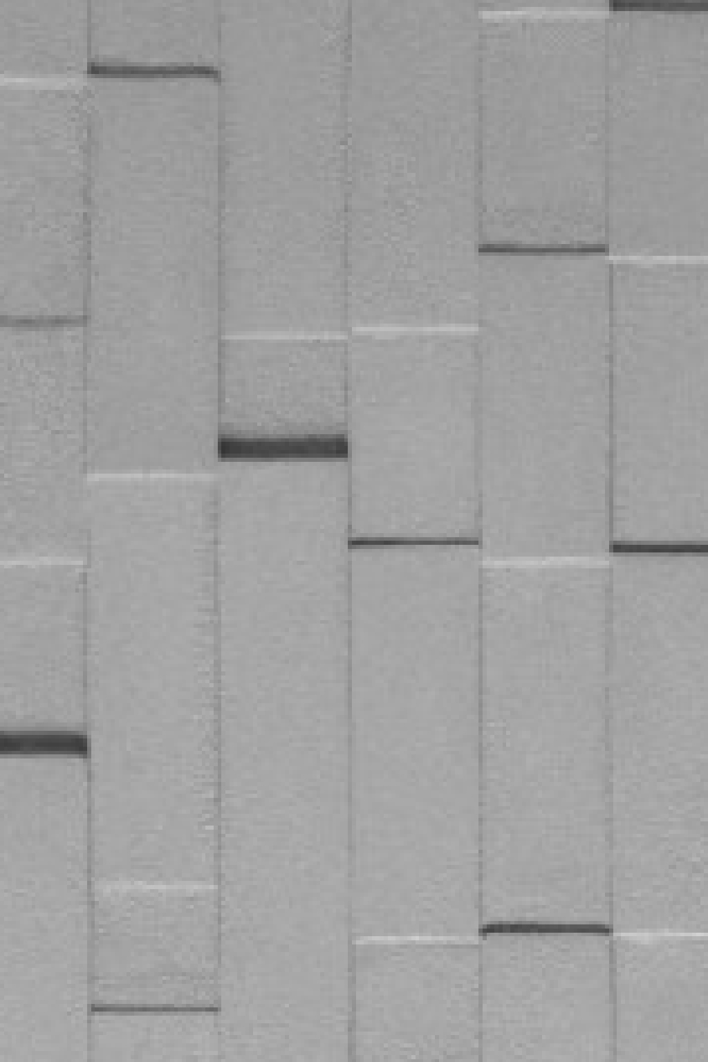 DIMENSIONAL - RBS0108 Dimensional 3D Wall Panel - Image 1